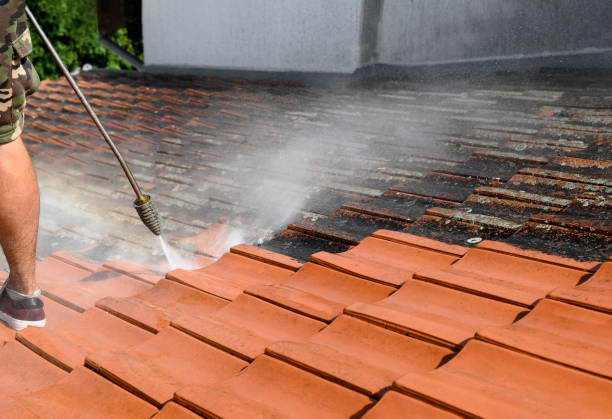 Best Sidewalk Pressure Washing  in Coing, AL